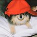 Dooby⁷ (@yungimbap) Twitter profile photo Dooby⁷ (@yungimbap) Twitter profile photo