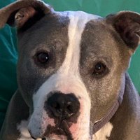 Yvonne Chisholm (@yb1962yvonneyc) 's Twitter Profile Photo