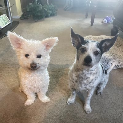 bbmaria1128's profile picture. 