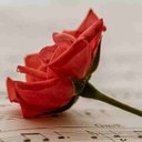 Zachary Breen - @ZBreen7974 - Twitter