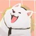 🐕 (@nor_dru) Twitter profile photo 🐕 (@nor_dru) Twitter profile photo