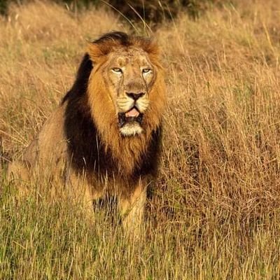 chinnasanjay85's profile picture. 