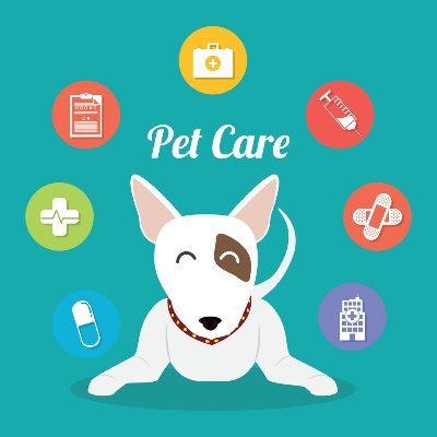 we serve pets of every type, age, and phase of life because we truly love animals. We show it with every belly rub, long walk, scratch behind the ear, and treat