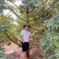 Huy Nguyen (@huy_nguyen91) 's Twitter Profile