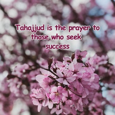 hamz_ah_01's profile picture. 