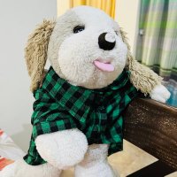 Gian (@giancarlo_m30) 's Twitter Profile