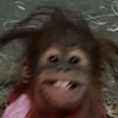 CamilaOlmosb's profile picture. RRPP🧠🗣️ | ⛰🏕🪵🐾🦋