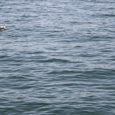 foraweekorthree's profile picture. gets emotional over men and women riding bikes very fast