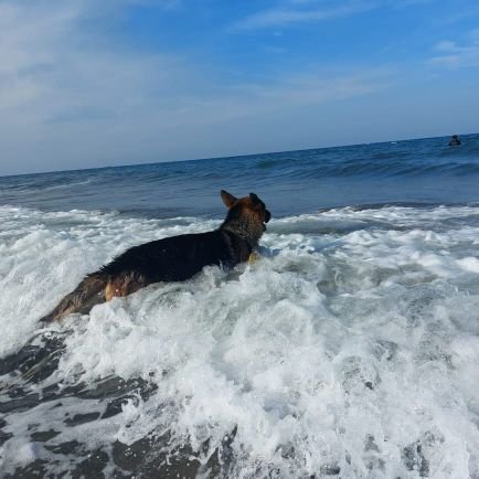 FlixDelMor10060's profile picture. 