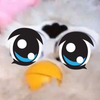 무례 (@difoyo) 's Twitter Profile Photo