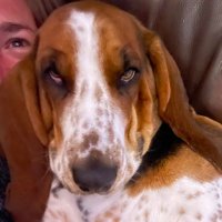 tommy lee (@tom71886962) 's Twitter Profile