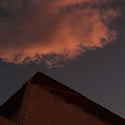 brisa_massud's profile picture. bye, bye