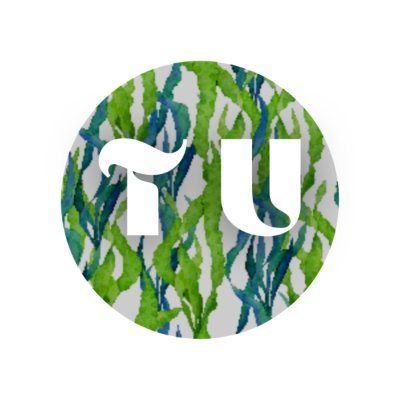 @teamunefy | Changing the Way You Look at #SEAWEED.