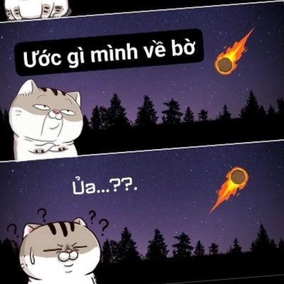 CRYPTO1OXX's profile picture. 