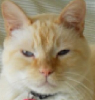 jdifrancis's profile picture. alternately astounded and amused by almost anything.