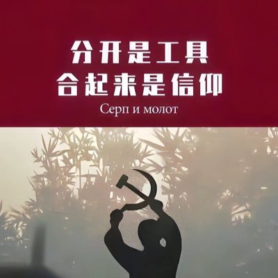 让我的颠沛流离再美丽一点