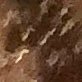 goodrsoul's profile picture. 
