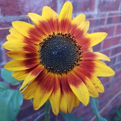 wvgmltd's profile picture. Environmentally concerned