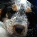 BEVERLEY WARNER - @BEV_WARNER - Twitter