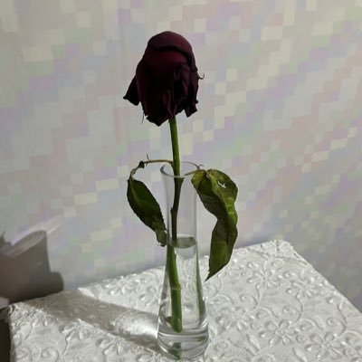 霧林さんのプロフィール画像