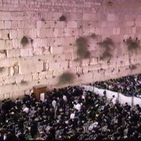 בנשק (@banshak) 's Twitter Profile