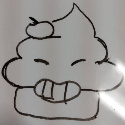 Kito_nokiko's profile picture. 