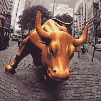 bullionke's profile picture. Medic | Artist | Model | @manchesterunited | The ghost in the machine.