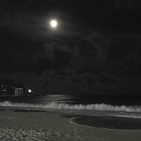 Isaac Tan (@xplusrep) 's Twitter Profile