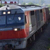 きたく鉄 (@nosure1835200) 's Twitter Profile Photo