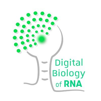 Lab_Ryckelynck's profile picture. 