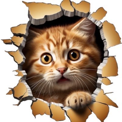 AniStijp's profile picture. AnimalStickers公式 主に動物のステッカーを販売してます。 動物好きの皆様に気に入って頂けると嬉しい☺️
Ebay↓
https://t.co/zRGO6bBcz4…
shopyfy↓
https://t.co/2O8GMsakxJ