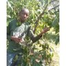 ianchemonges4's profile picture. Crop Expert |Agripreneur | Avid reader  |@agro_elgon Climate Activist | Brand Amb. @YaraUganda 🇺🇬 #MboleaNiYara  #knowledgeGrows🍒🥔🧅🌽