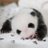 maru_maru1009hk