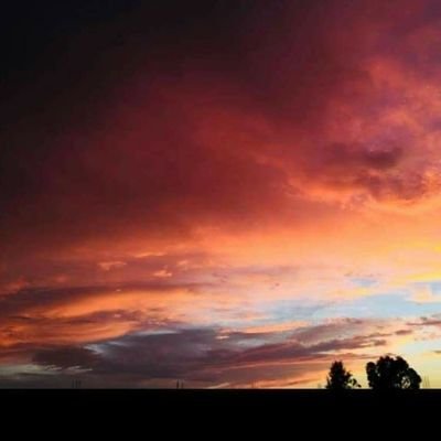 MahmodAsmida's profile picture. Open mind