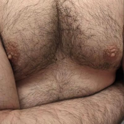 bearmx97's profile picture. 