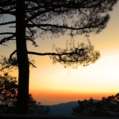 federicisyl's profile picture. L’effet boomerang, quel spectacle !