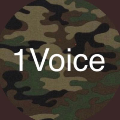 #1Voice-organizing local vets under local generals-always ready. @1VoiceForMe4 & @1VoiceAndi are both shadow banned-#FuckMusk & his idea of free speech.