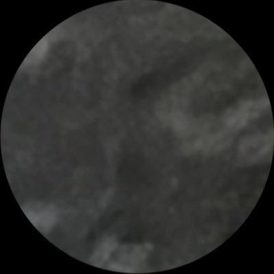 GS_HGKS's profile picture. 
