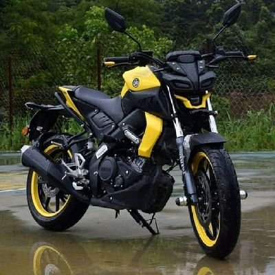 MdARIFh93847742's profile picture. I am human