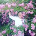 Gulmyra (@gulmyra) Twitter profile photo Gulmyra (@gulmyra) Twitter profile photo