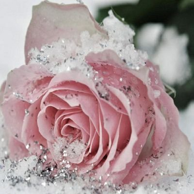 Racha_M2's profile picture. استغفر الله وأتوب اليه 💚💜