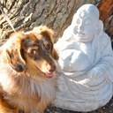 Rick Huse - @RickEliGracie - Twitter