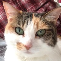 麻木佑衣 (@kvpebapbkycrohp) 's Twitter Profile