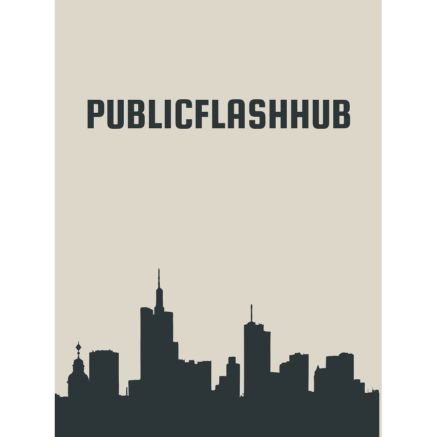 PublicFlashHub Profile Picture