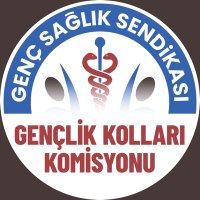 Genç Sağlık Sendikası Gençlik Kolları Komisyonu (@genclikkolgss) Twitter profile photo