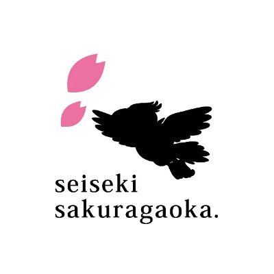 dokiwaku_sei Profile Picture