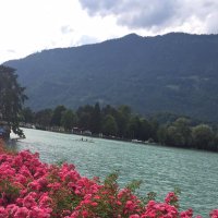 Eyad_87 (@oldfashion32) 's Twitter Profile Photo