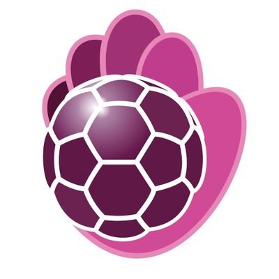 Página oficial del Club Balonmano Guadalajara - DH Plata Masc - Senior - Femenino - Cantera - Inclusivo #ImpulsoMorado 💜💛
