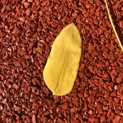 GoodbyeCain's profile picture. it