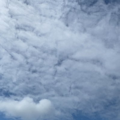 パワハラに遭い疾患、悪性腫瘍癌で亡くした親族思い引き継ぎ、世の中の不条理なことへの発信!NPO活動、スポーツ活動で親族の 思いをリレーション!!
